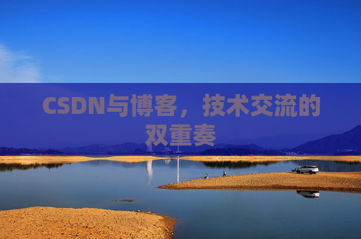 CSDN与博客，技术交流的双重奏